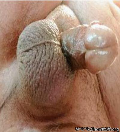Adult image from M*C*S