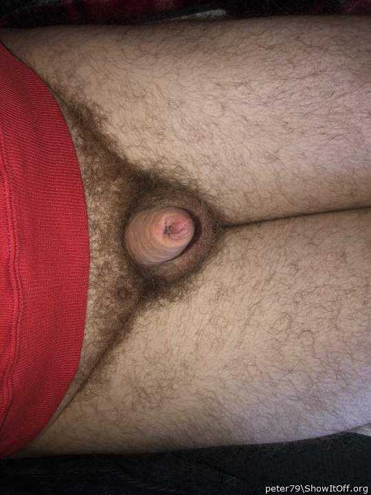 Adult image from peter79