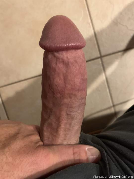 Adult image from Plantation