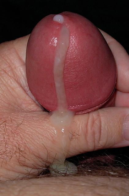 Adult image from man19