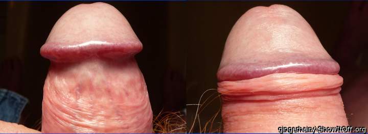 Adult image from gingerhairy