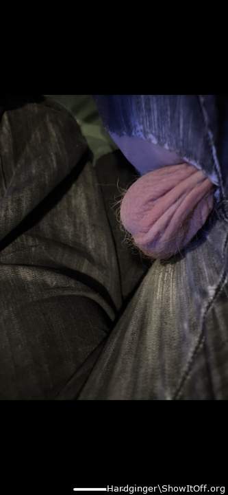 Adult image from Hardginger