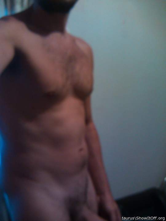 Adult image from taurus