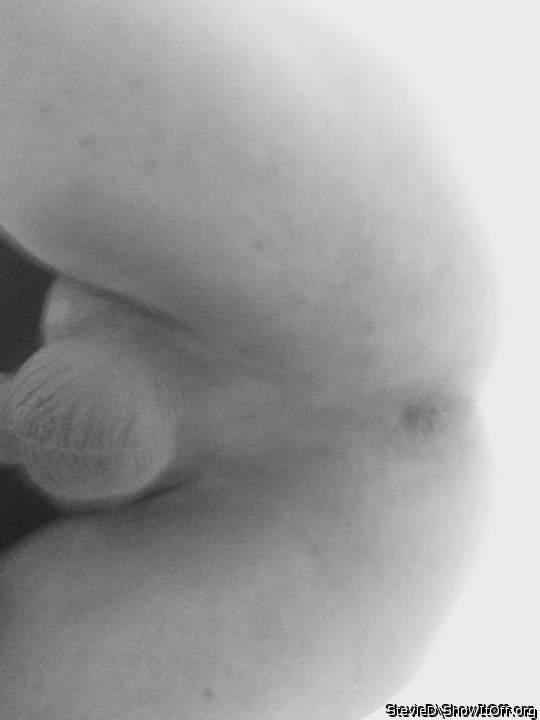 Adult image from StevieD