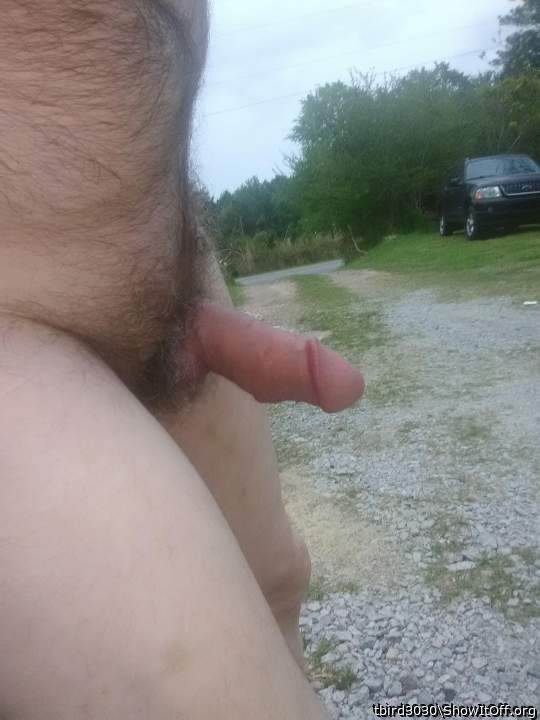 Adult image from tbird3030