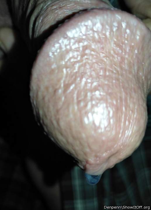 Adult image from Denpenn