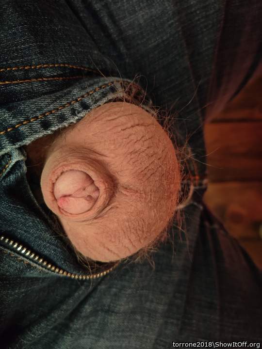 Adult image from torrone2018