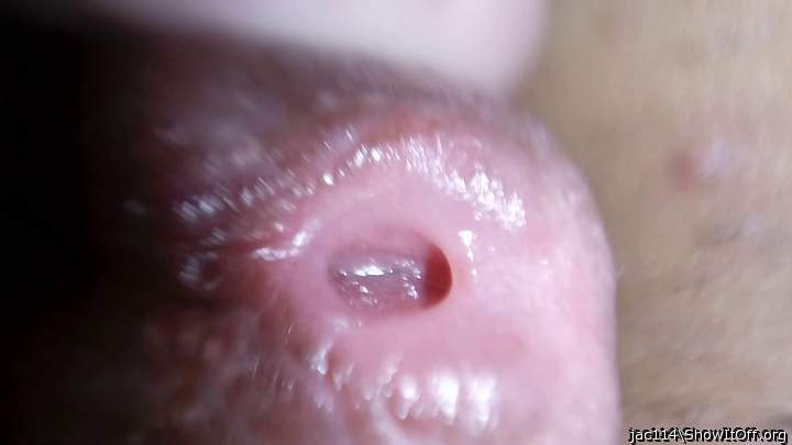 Adult image from jac114