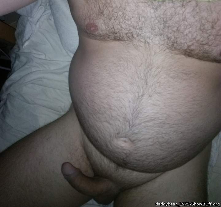 Bear body