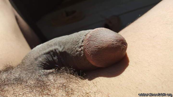 Adult image from eddier
