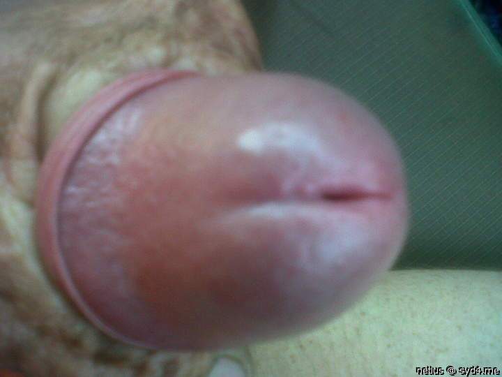 Adult image from netlus
