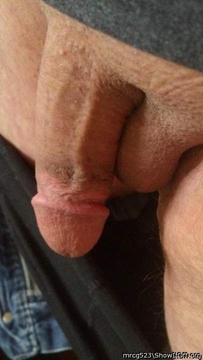 Adult image from mrcg523