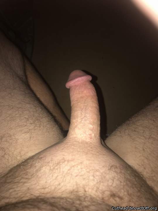 Adult image from Cuthead