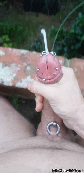 Split head and pierced cock cumshot