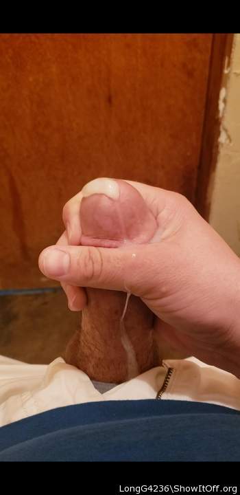 Adult image from LongG4236