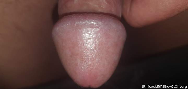 Adult image from Stiffcock59