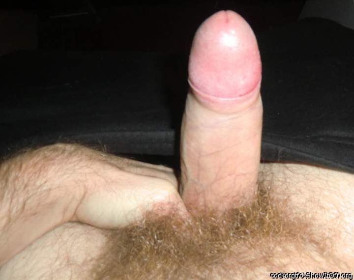 Adult image from cockorgtfo