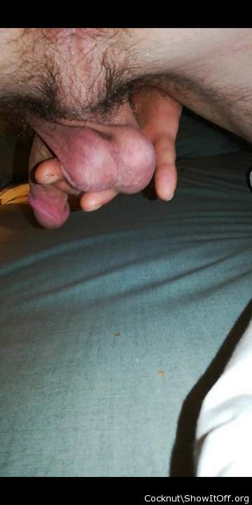 Adult image from Cocknut
