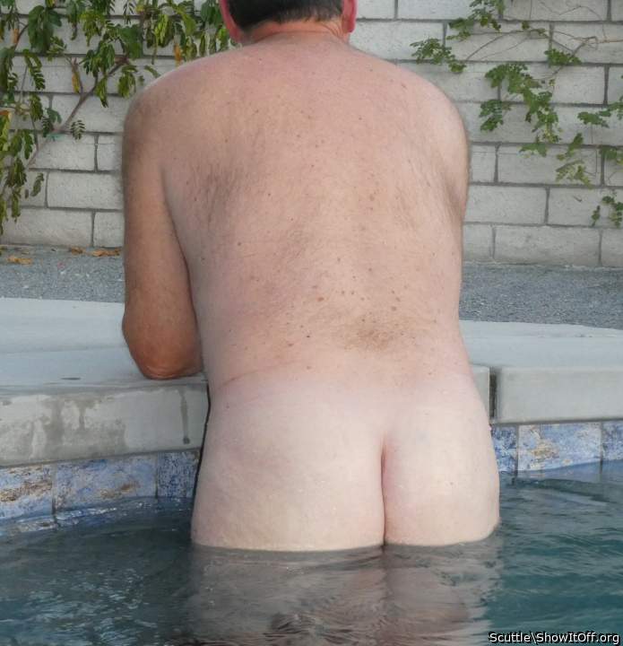 Adult image from Scuttle