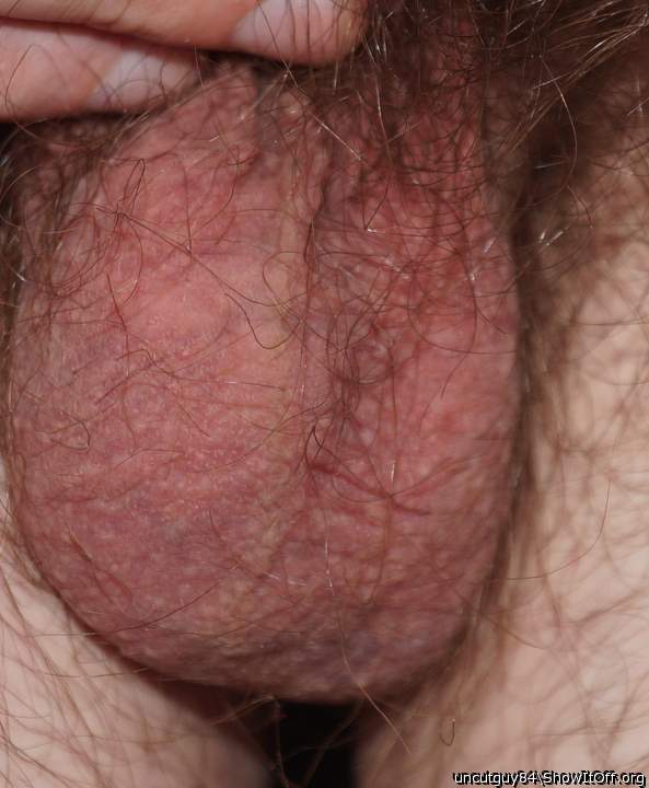 Adult image from uncutguy84