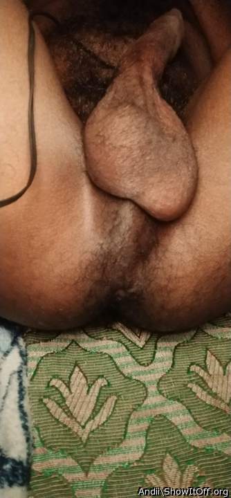 Adult image from Andii