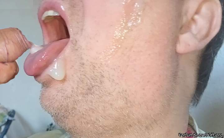 creamy lunch time
