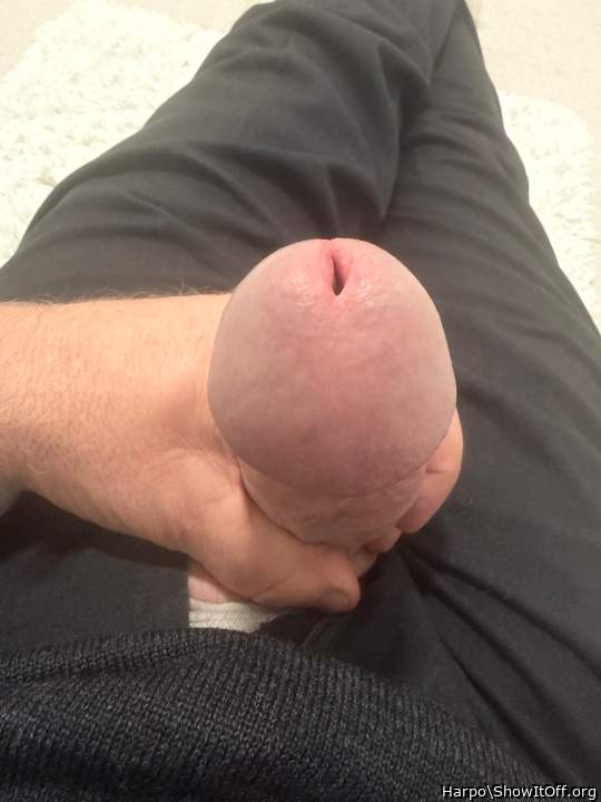 Adult image from Harpo