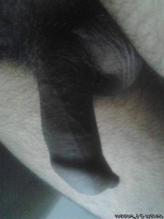 Adult image from cockster1_2