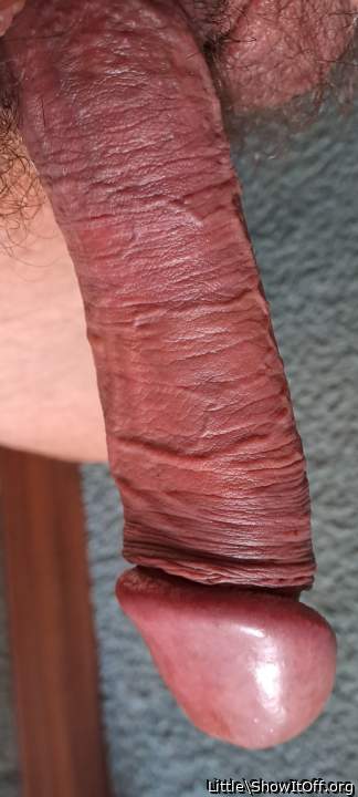 Adult image from Little