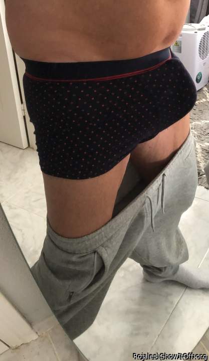 Adult image from Rojales