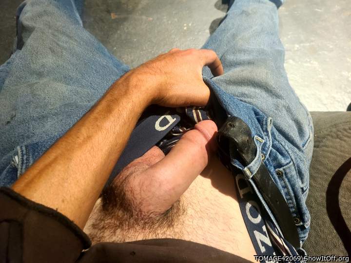 Adult image from TOMACE42069