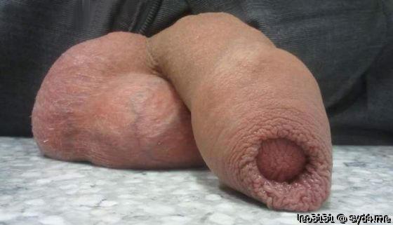 Adult image from leo3131
