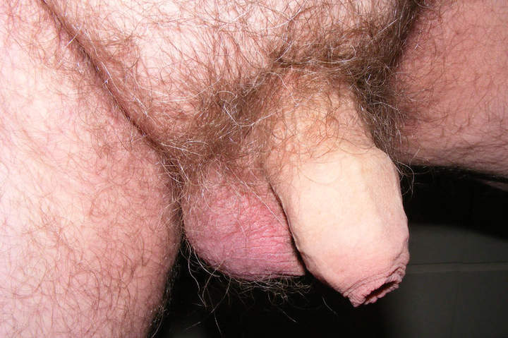 Adult image from balticsea
