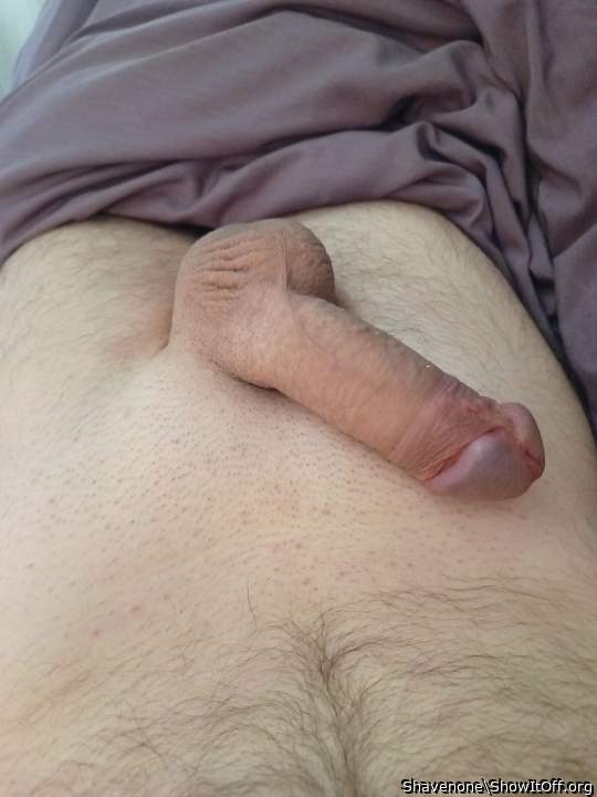 Adult image from Shavenone