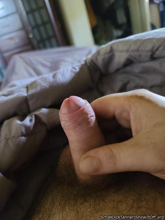 Adult image from SmallDickTanner