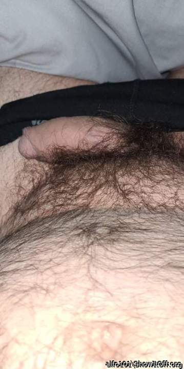 Adult image from Alfo101