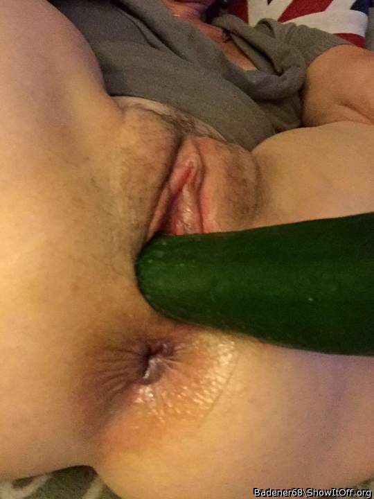 Gurke eingefhrt