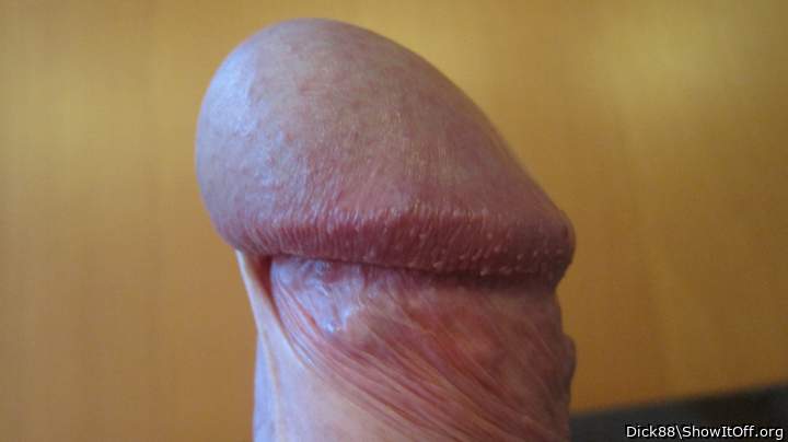 Adult image from Dick88