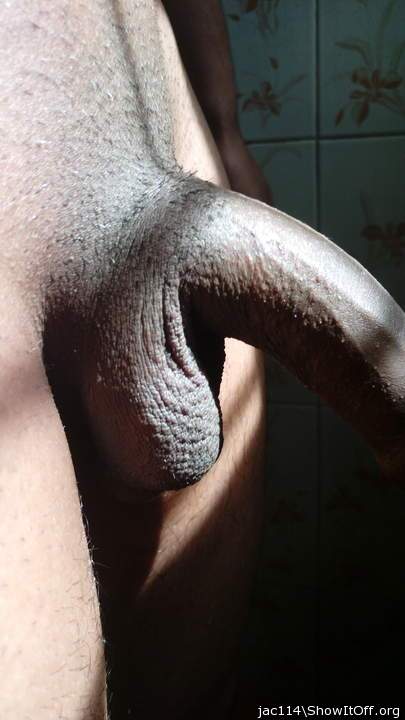 Adult image from jac114