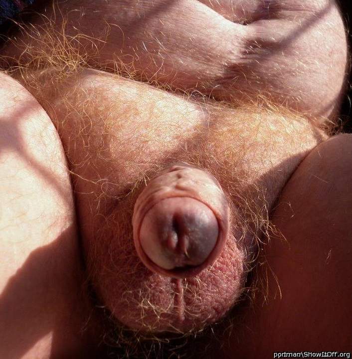 Ginger