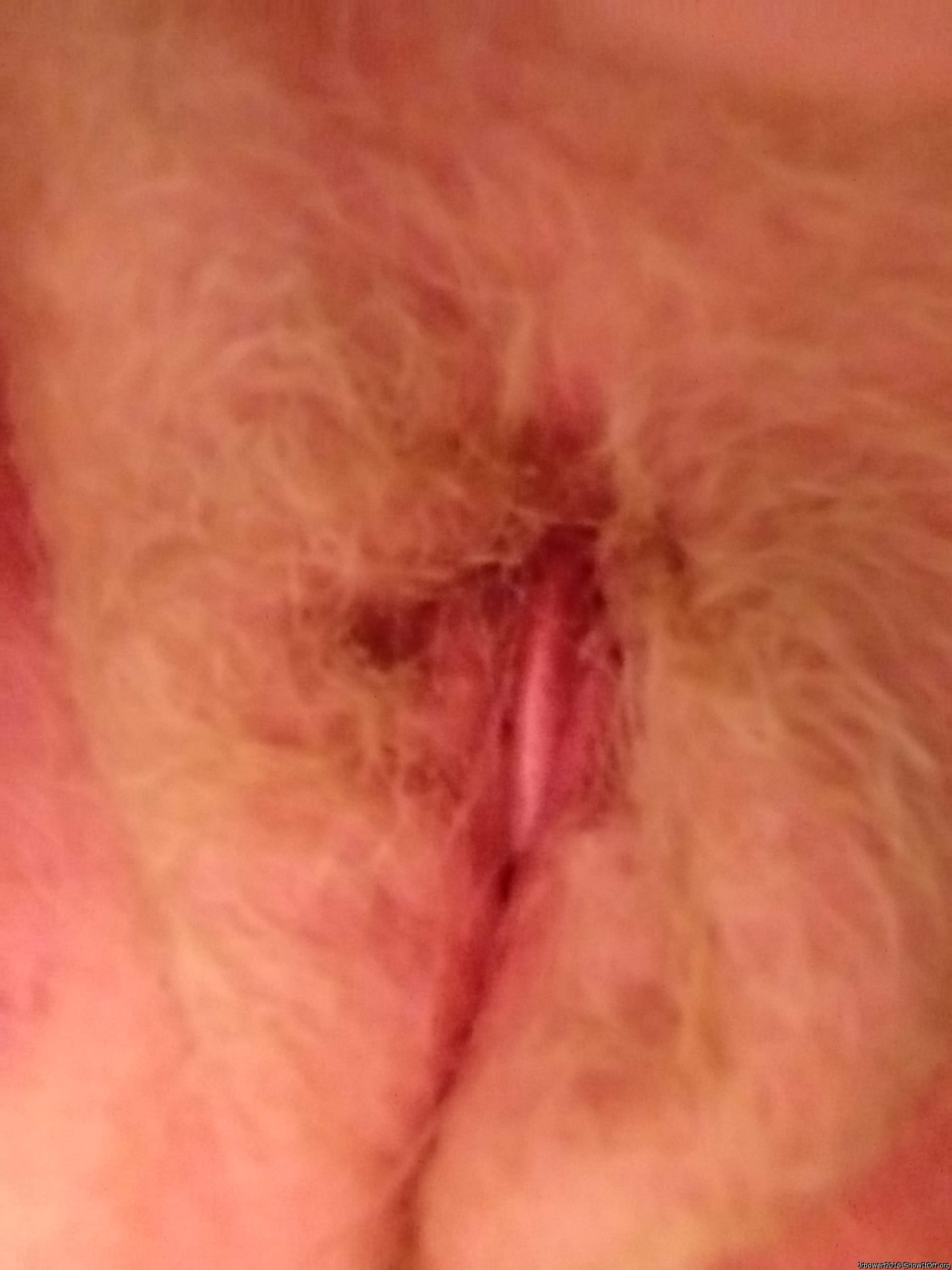 My girlfriend's  hairy blond cunt