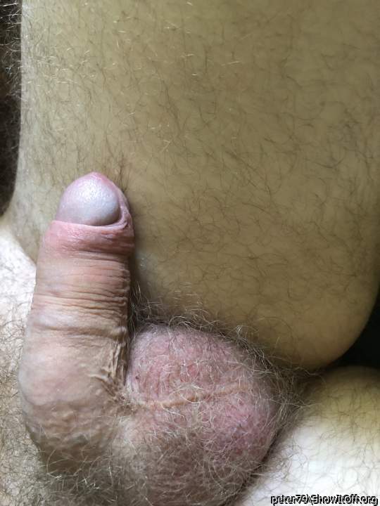 Adult image from peter79