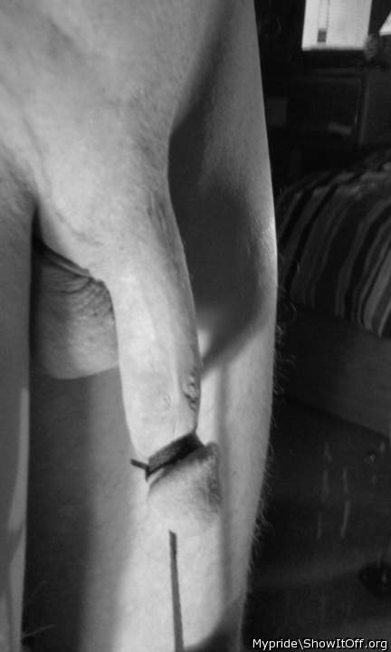 Adult image from Mypride