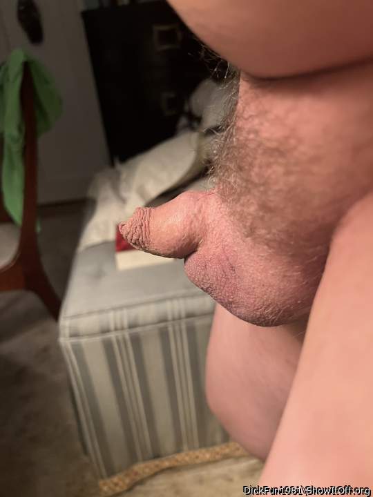 Adult image from DickFun1981