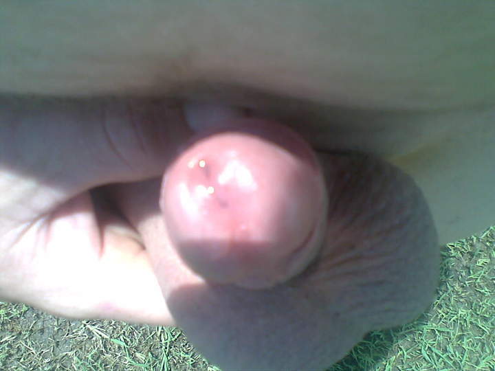 Adult image from 450