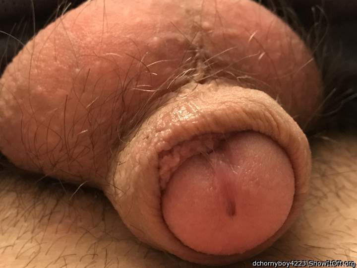 Adult image from dchornyboy4223