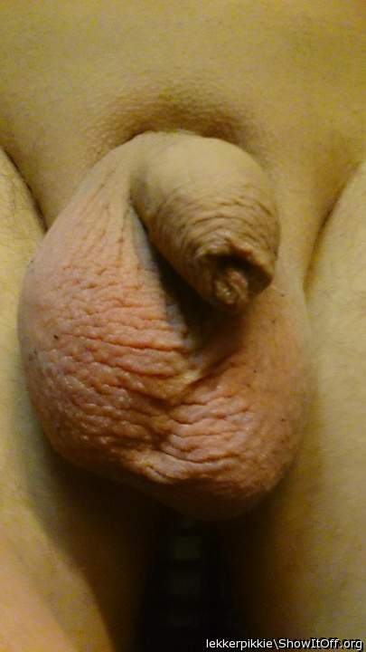 Adult image from lekkerpikkie