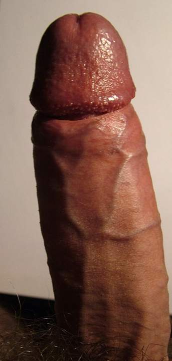Adult image from vtbartje