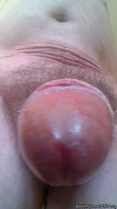 Adult image from Ade59