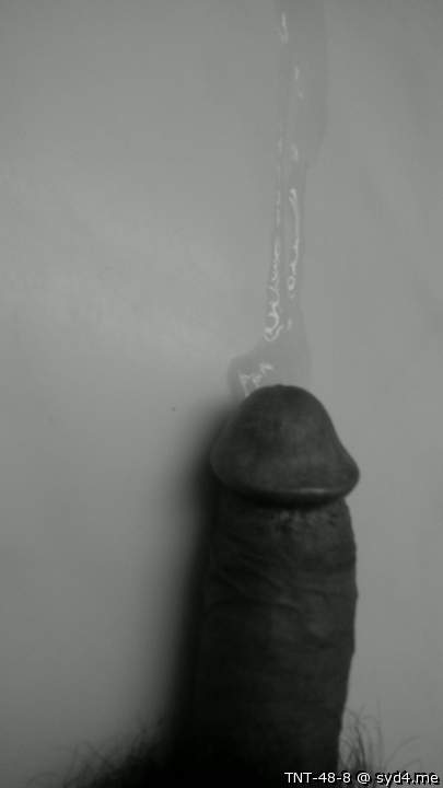 Adult image from TNT-48-8